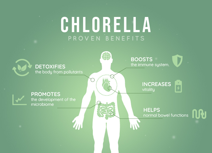 A Guide to Maximizing Chlorella Benefits