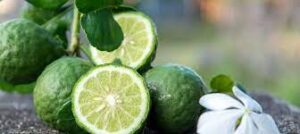 Bergamot for Cholesterol: A Natural Approach to Heart Health