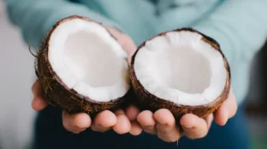 is coconut a fruit