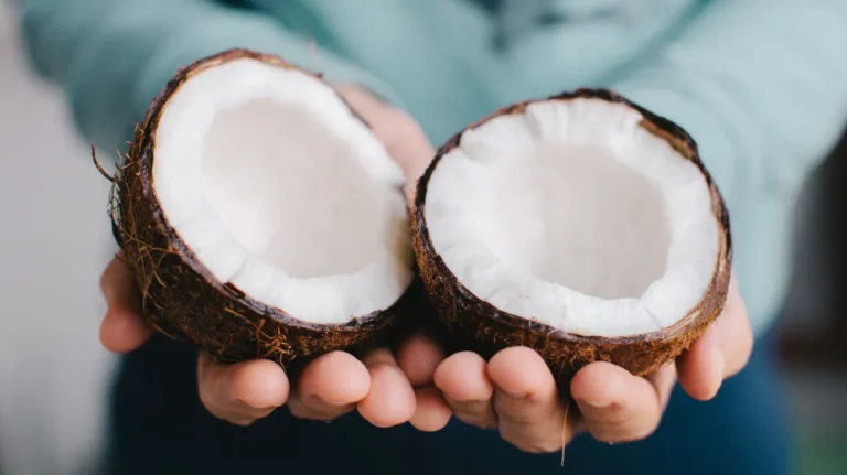 The Fascinating Journey of the Coconut Fruit