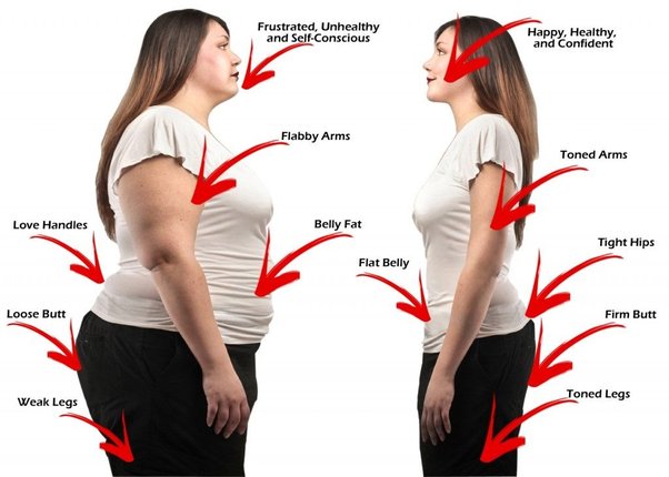 Where Does Fat Go When You Lose Weight? Understanding the Science of Fat Loss