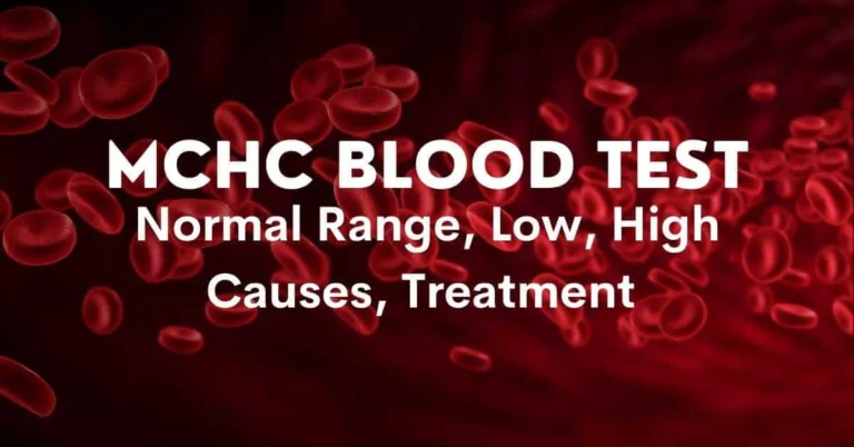 MCHC Blood Test Low Meaning: Understanding the Implications