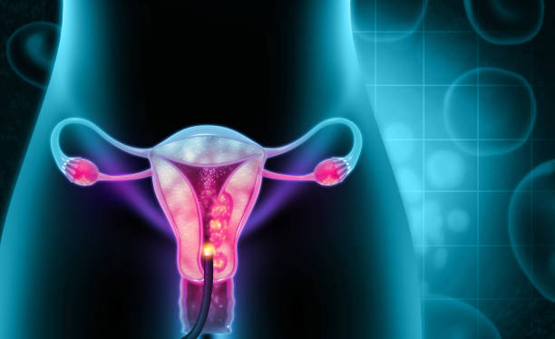 Understanding the Uterine Tube: Structure, Function, and Health