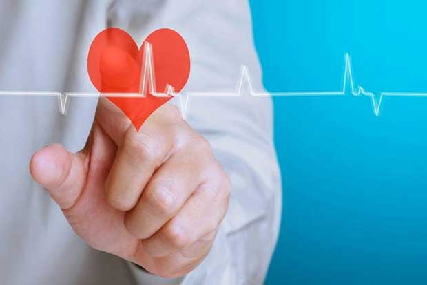 Understanding Heart Enzymes: A Comprehensive Guide