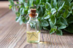 Oregano Oil: The Natural Remedy with Amazing Benefits