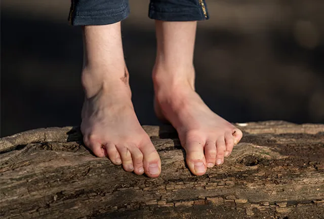 Understanding Feet: The Foundation of Our Body