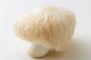 Lion's Mane Benefits: Unlocking the Power of This Unique Mushroom