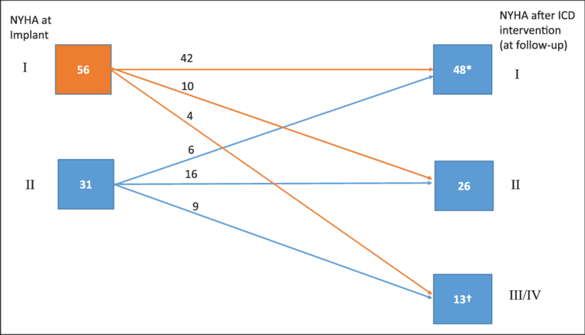 Understanding the NYHA Classification: A Comprehensive Overview