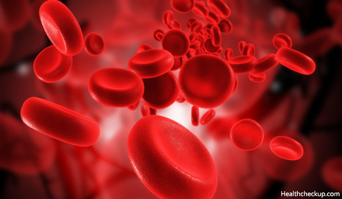 What is MCHC in Blood Test? Understanding Your Blood Health