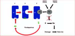 Understanding Fondaparinux: A Comprehensive Guide