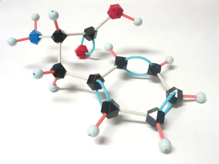 Understanding Phenylalanine: An Essential Amino Acid