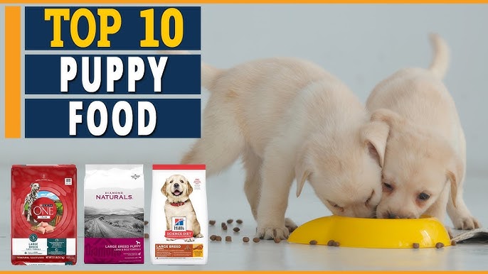 Science Plan Puppy Food Reviews: A Comprehensive Analysis