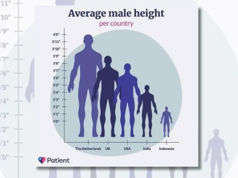 Average Height for Men: Understanding Global Variations