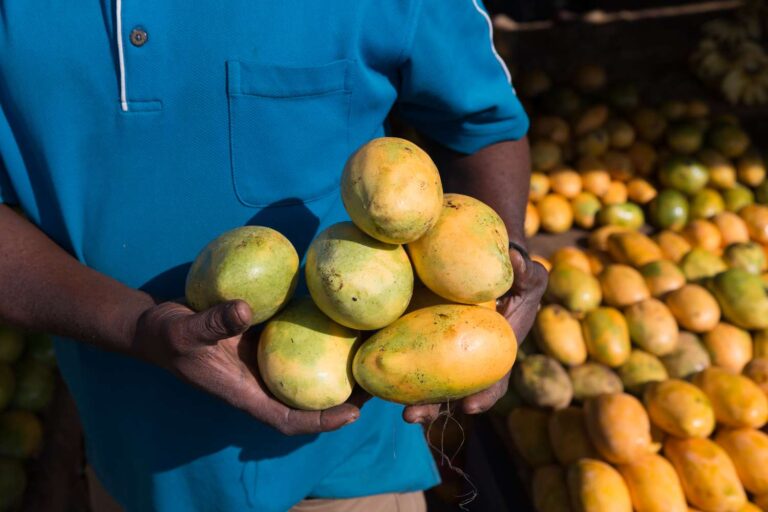 African Mango Benefits: A Comprehensive Guide