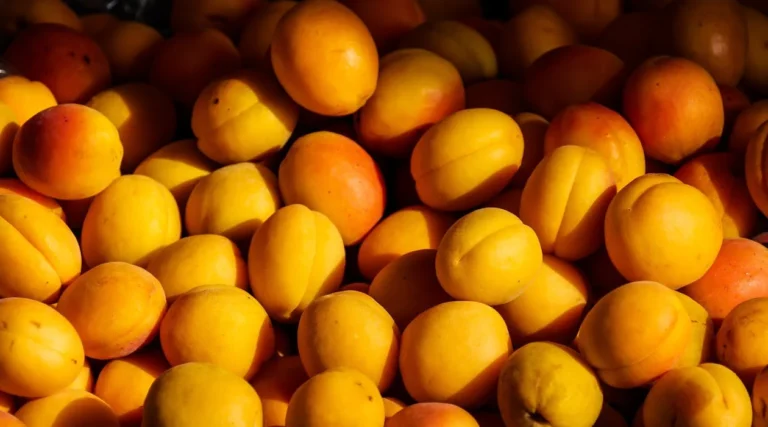 Peaches: A Delicious and Nutritious Fruit