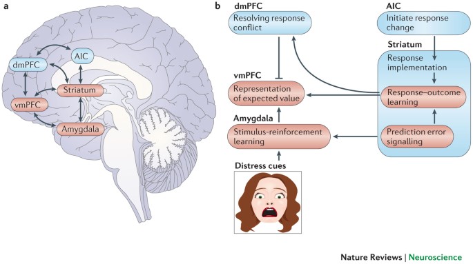 Understanding Psychopaths: A Comprehensive Overview