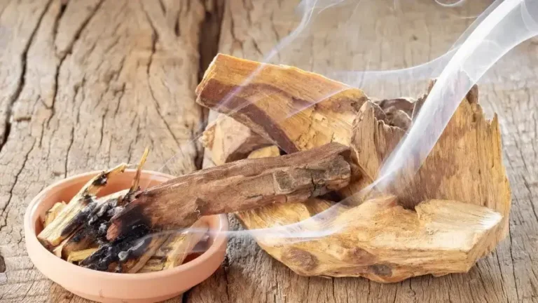 The Magical Benefits of Palo Santo