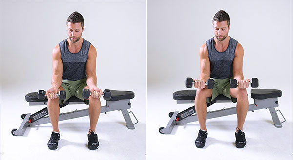 Forearm Workouts: Building Strong, Defined Arms