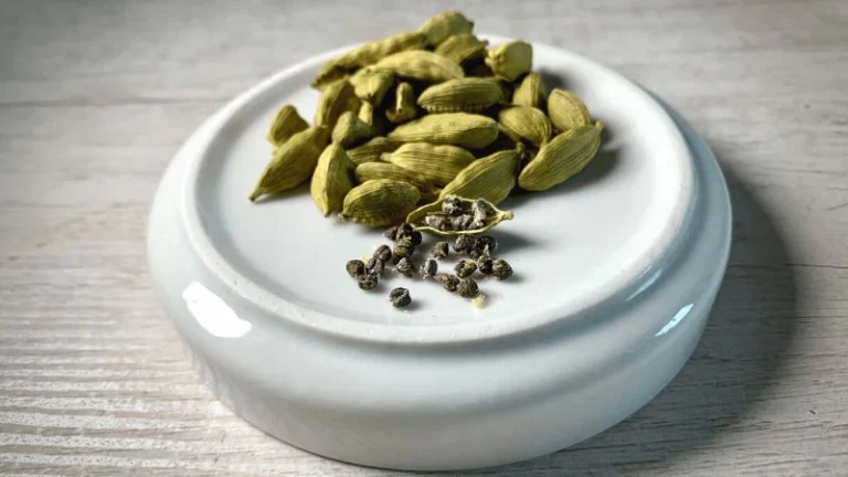 The Marvel of Cardamom: A Detailed Look at the “Queen of Spices”